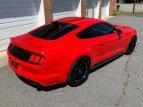 Thumbnail Photo 11 for 2017 Ford Mustang GT Coupe